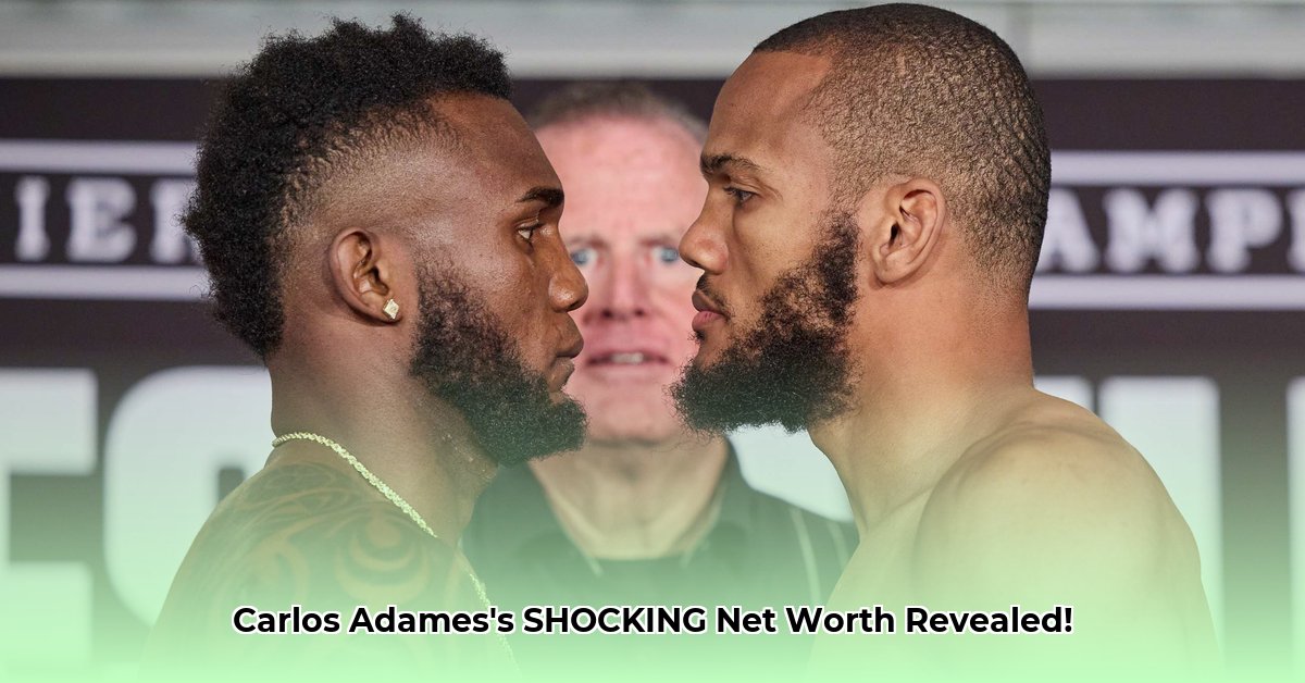 carlos-adames-net-worth